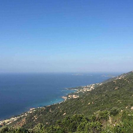 Ajaccio Magnifique T2 Neuf 40M2 Avec Balcon Au Trottel 4 Couchages Wifi Clim Parking Plage A Pieds 100M エクステリア 写真