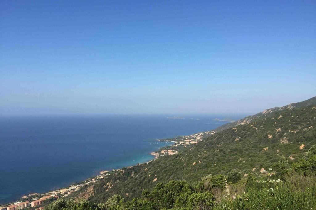 Ajaccio Magnifique T2 Neuf 40M2 Avec Balcon Au Trottel 4 Couchages Wifi Clim Parking Plage A Pieds 100M エクステリア 写真