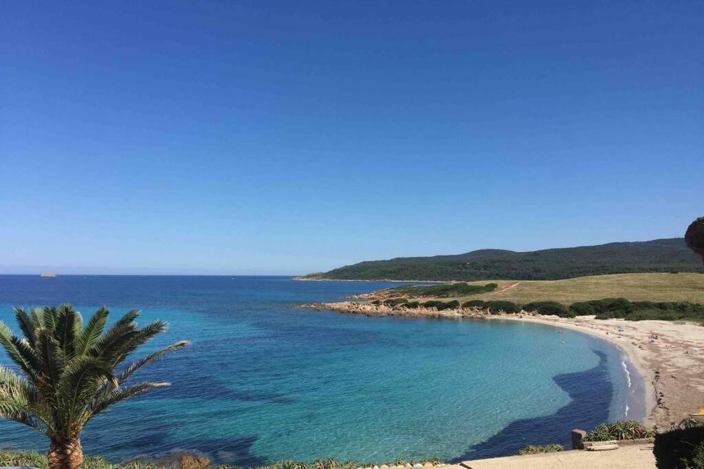 Ajaccio Magnifique T2 Neuf 40M2 Avec Balcon Au Trottel 4 Couchages Wifi Clim Parking Plage A Pieds 100M エクステリア 写真