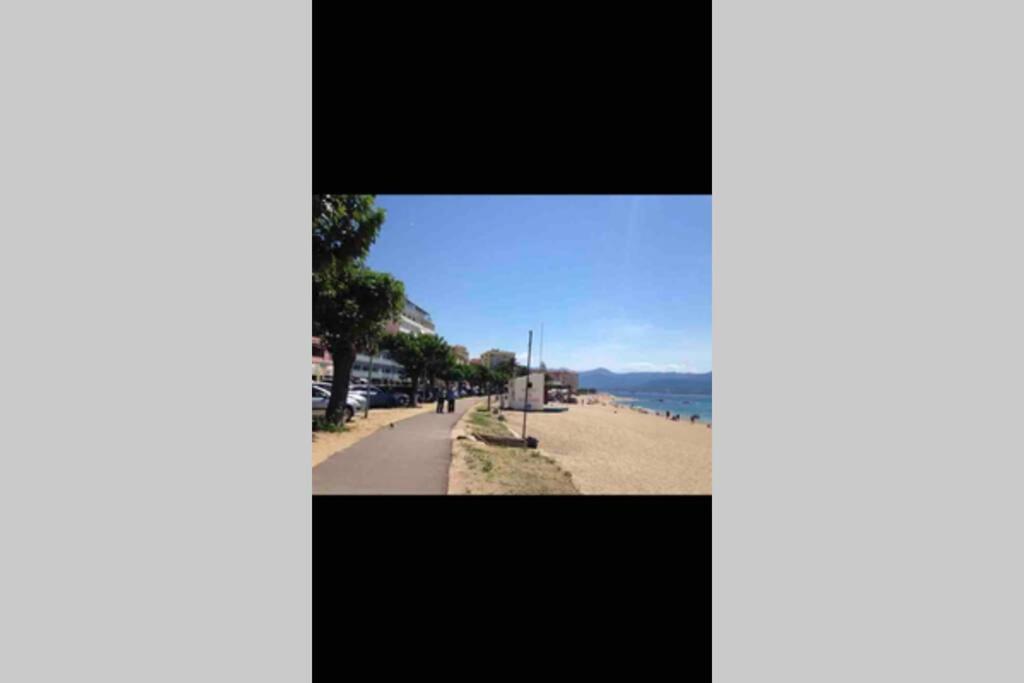 Ajaccio Magnifique T2 Neuf 40M2 Avec Balcon Au Trottel 4 Couchages Wifi Clim Parking Plage A Pieds 100M エクステリア 写真