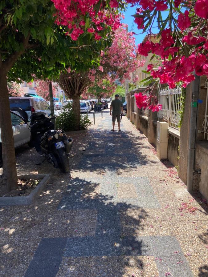 Ajaccio Magnifique T2 Neuf 40M2 Avec Balcon Au Trottel 4 Couchages Wifi Clim Parking Plage A Pieds 100M エクステリア 写真