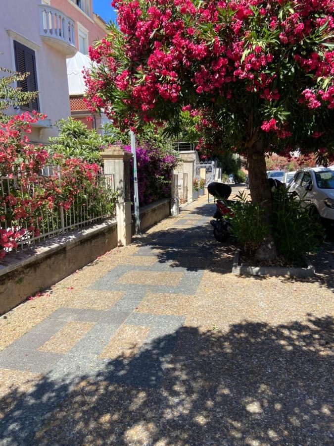 Ajaccio Magnifique T2 Neuf 40M2 Avec Balcon Au Trottel 4 Couchages Wifi Clim Parking Plage A Pieds 100M エクステリア 写真