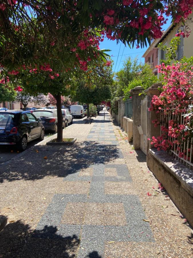 Ajaccio Magnifique T2 Neuf 40M2 Avec Balcon Au Trottel 4 Couchages Wifi Clim Parking Plage A Pieds 100M エクステリア 写真